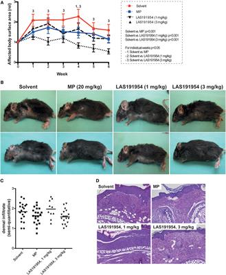 Therapeutic Effect of a Novel Phosphatidylinositol-3-Kinase δ Inhibitor in Experimental Epidermolysis Bullosa Acquisita